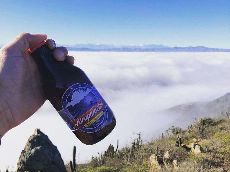 Chilean fog beer