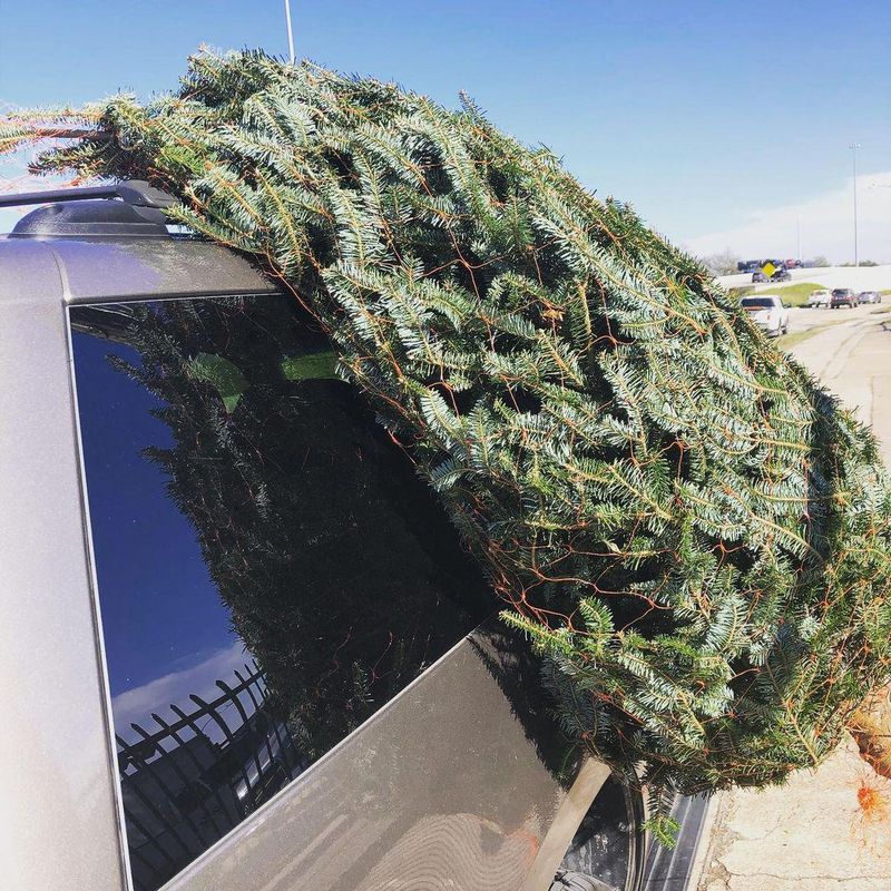 Christmas tree falling off car