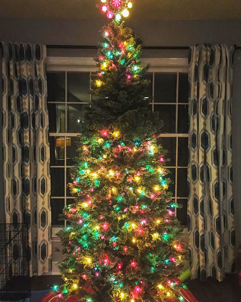 Christmas tree missing lights