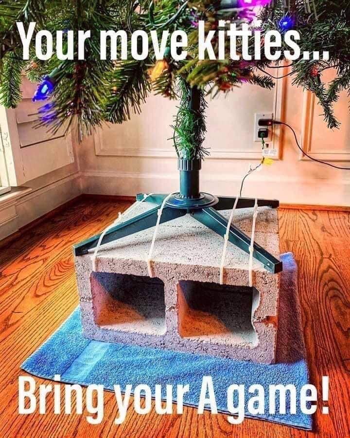 Christmas with cats meme