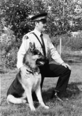 Cloud II, a Canadian police dog