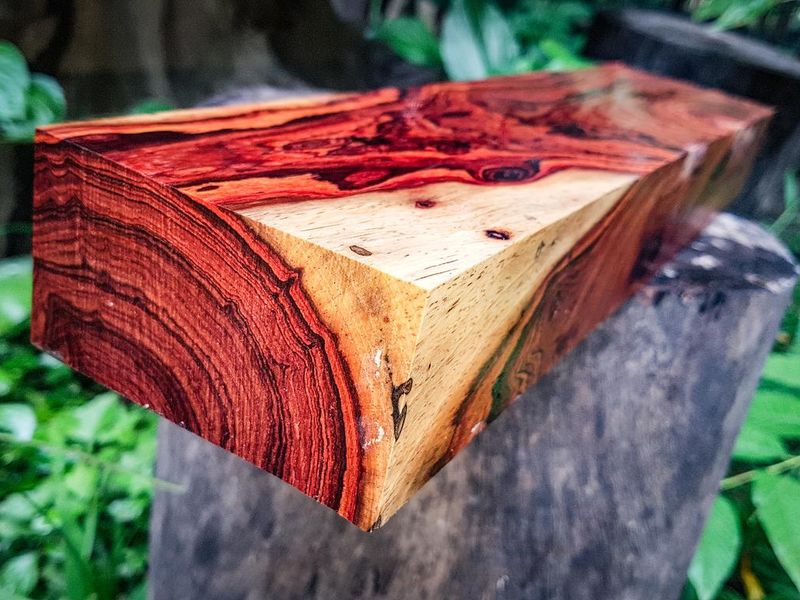 Cocobolo wood grain and color