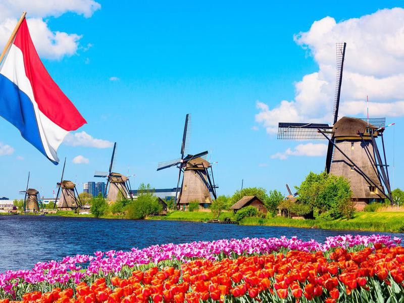 Colorful spring landscape in Netherlands