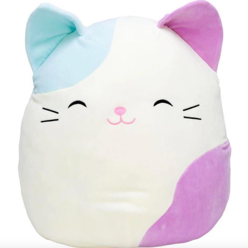 Cora the Pink Squishmallow Cat