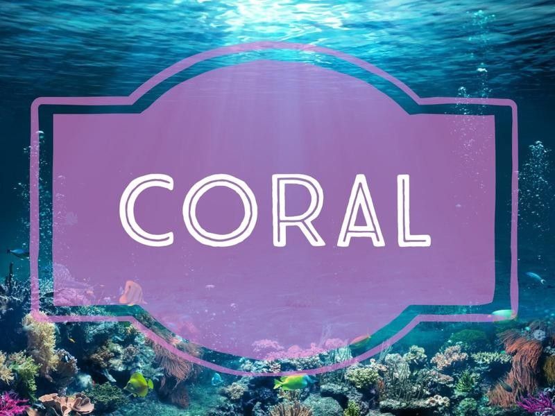 Coral nature-inspired baby name