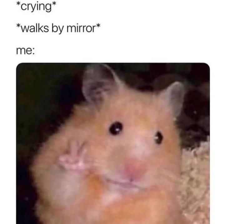 Crying face in the mirror meme
