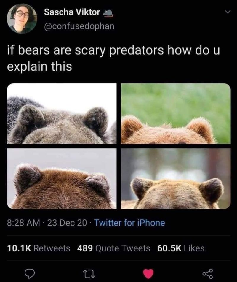 Cute bear ears meme