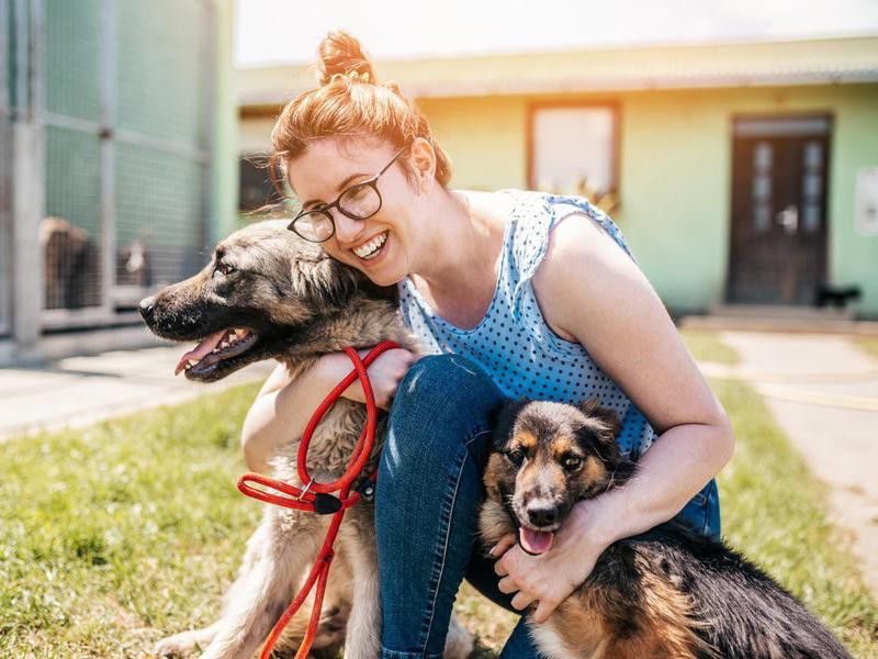 Cute dog photo of woman working and playing with adorable dogs in animal shelter