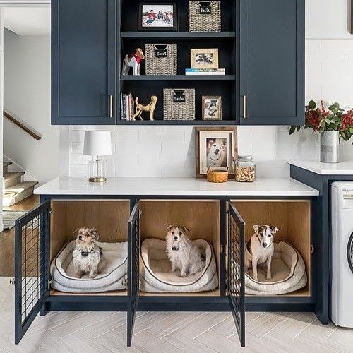 Cute Dog Room Ideas: Side by side dog crates