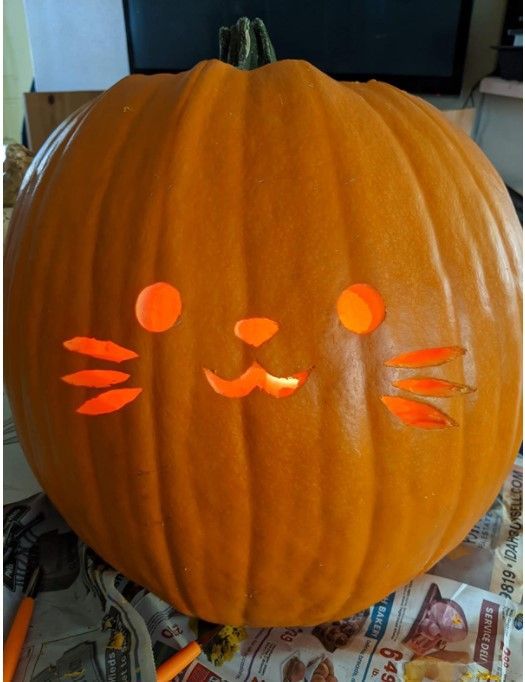 Cute kitty pumpkin carving