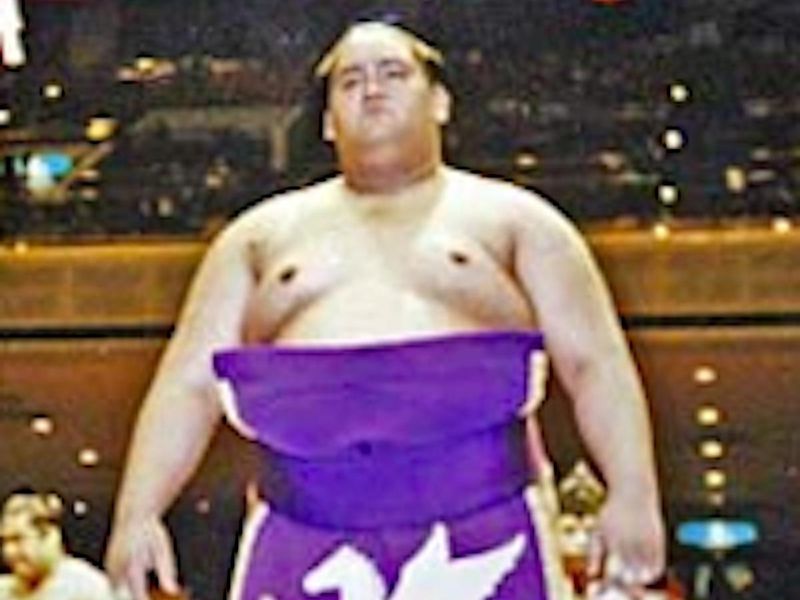 Daiki, Sumo Wrestler