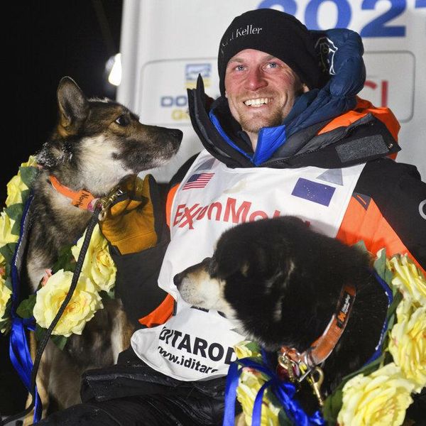 Fastest Iditarod Sled Dog Race Winners of All Time