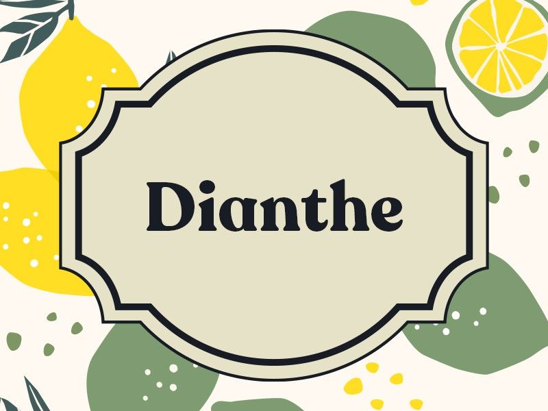 Dianthe