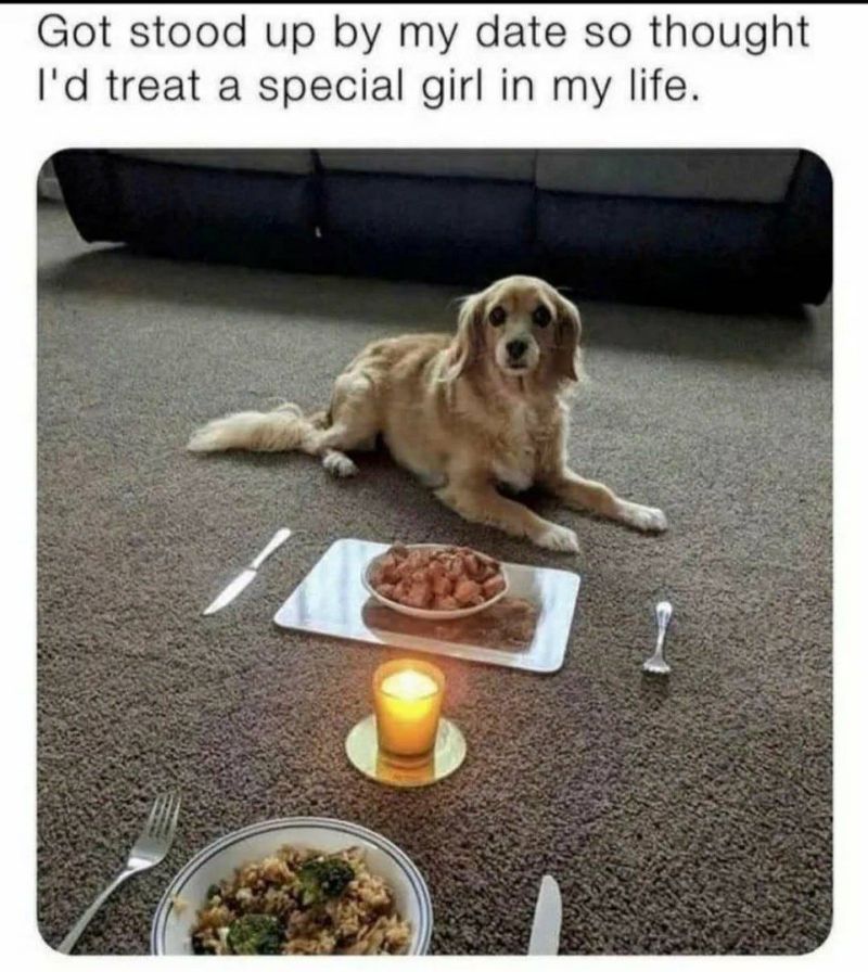 Dinner with dog