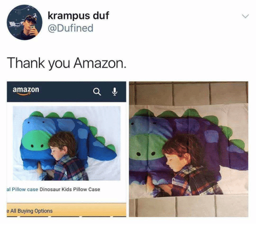 dinosaur pillowcase