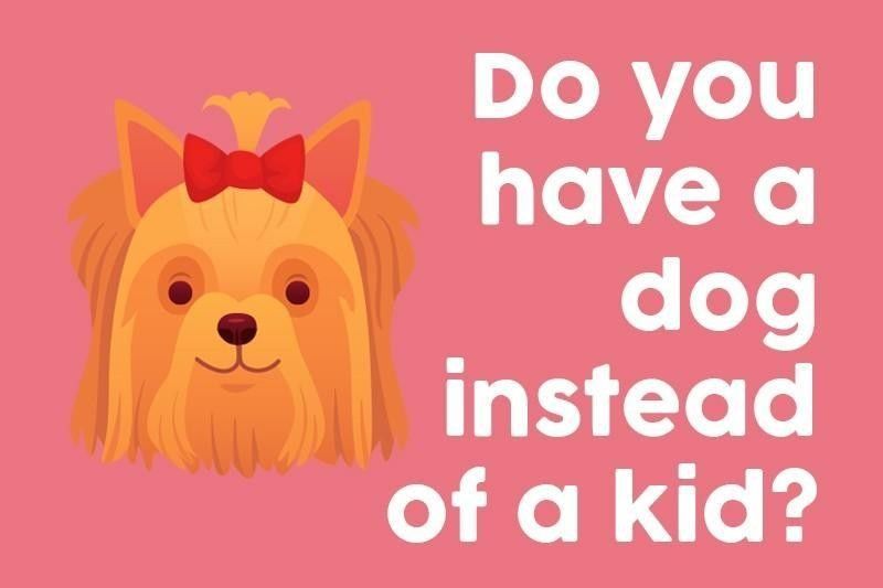 Do you have a dog instead of a kid?
