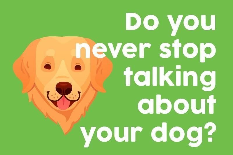 Do you never stop talking about your dog?
