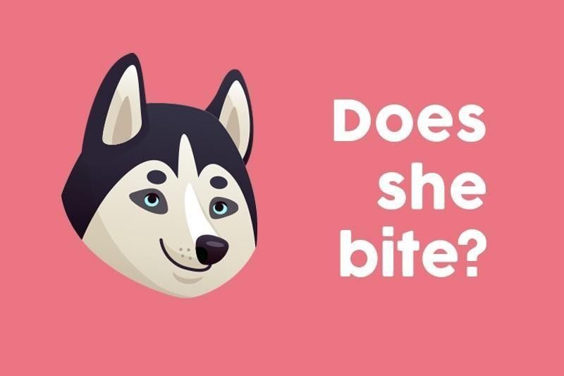 Does she bite?