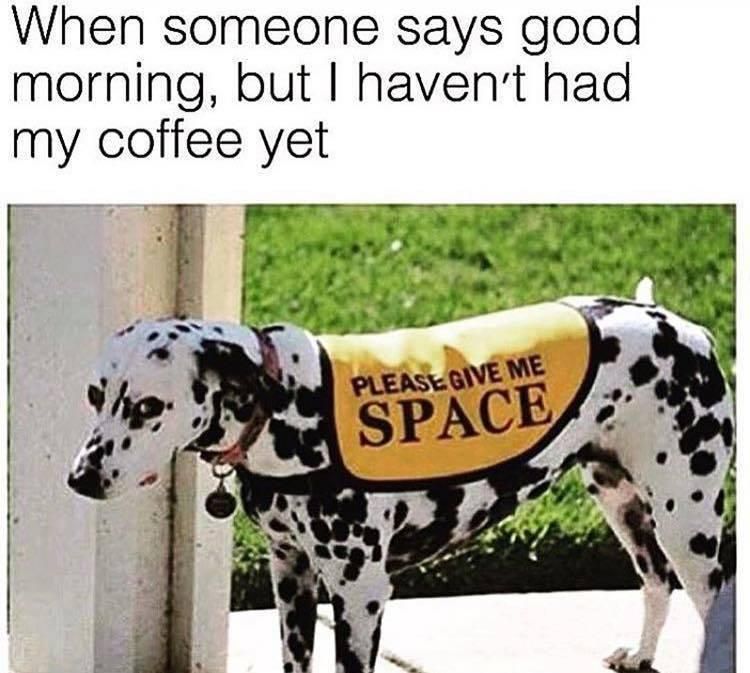 Dog asking for space and coffee