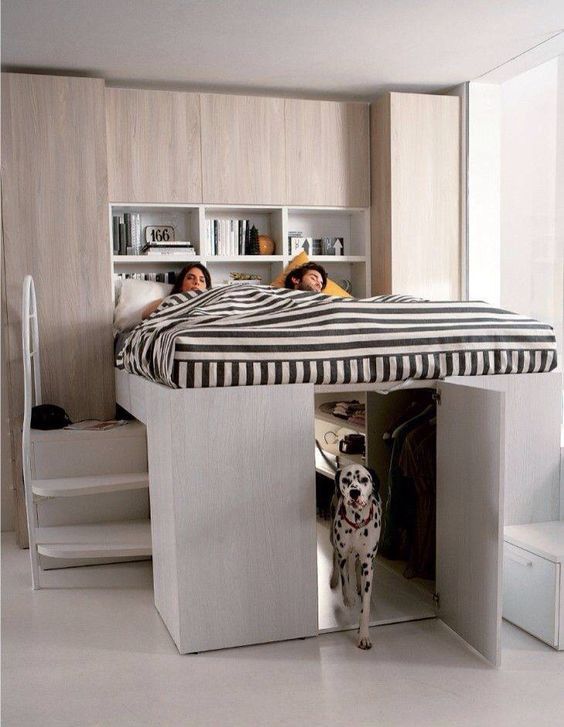 Dog bedroom underneath a bed