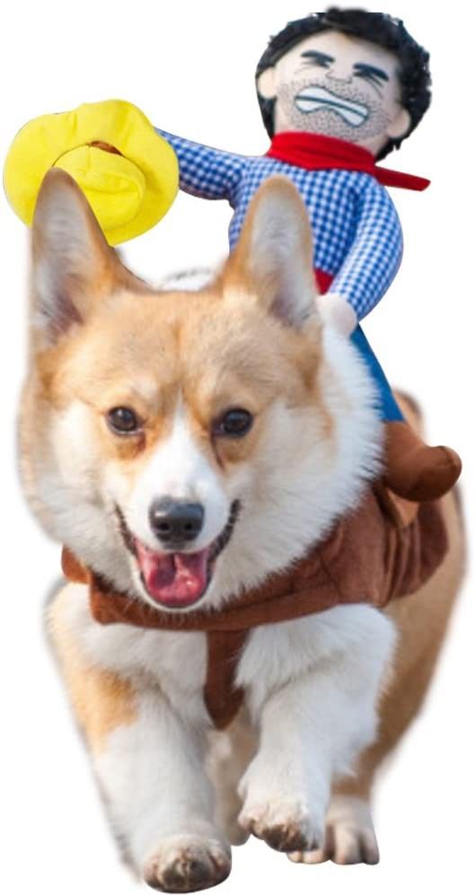 Dog cowboy costume