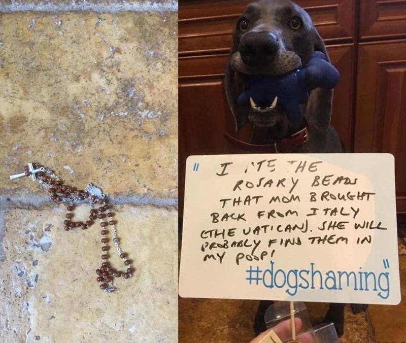 Dog eats rosary beads