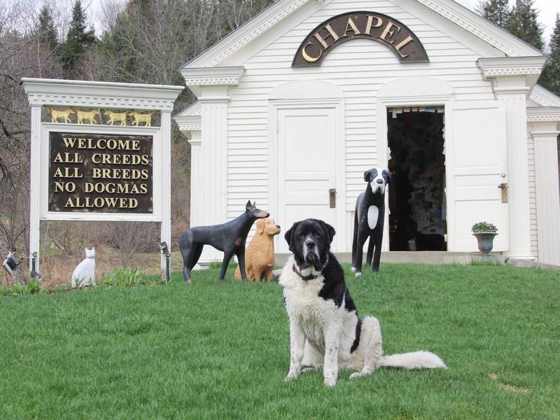 Dog Mountain in Saint Johnsbury, Vermont