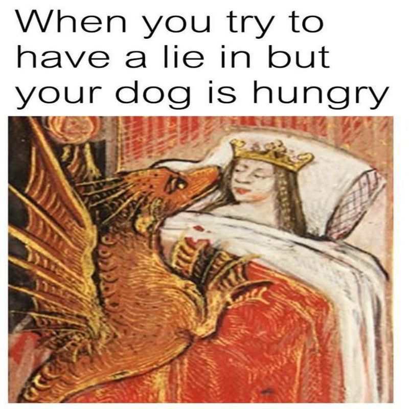 Dog owner art meme
