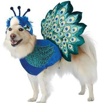 Dog peacock costume