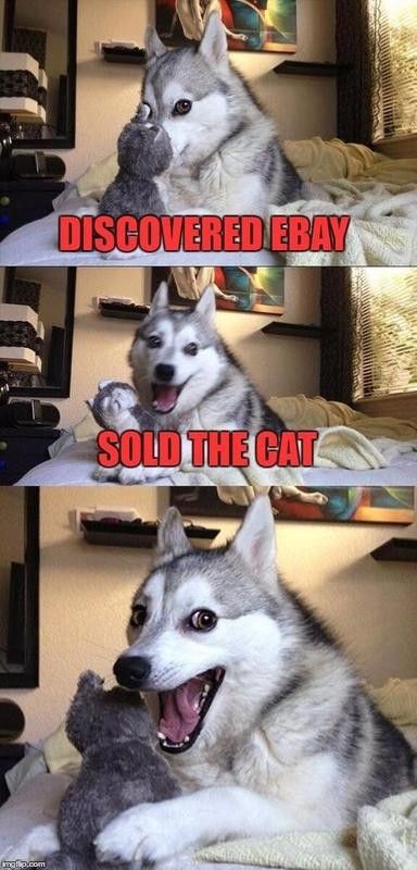 Dog sold the cat