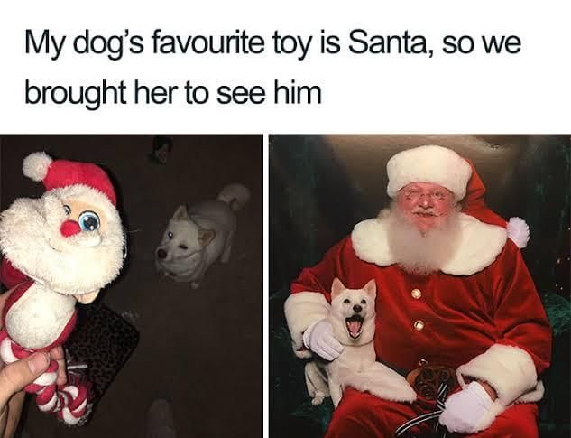 Dog visiting Santa meme
