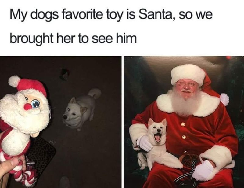 Dog visiting Santa