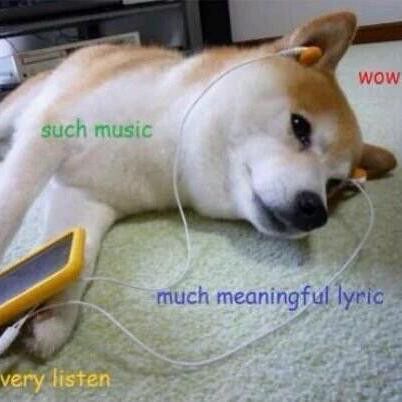Doge music meme