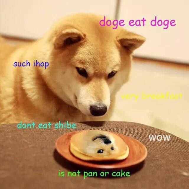 Doge pancake meme