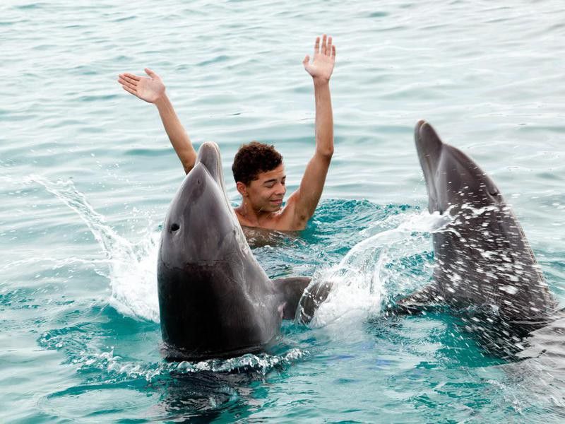 Dolphins Playing With a Teenager