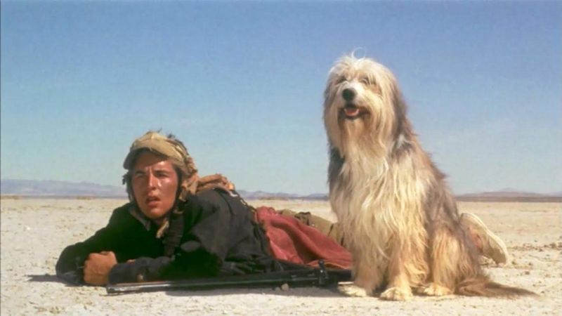 Don Johnson and dog in A Boy and His Dog