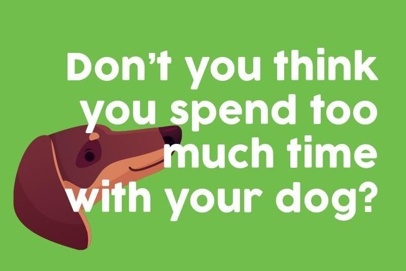 Don’t you think you spend too much time with your dog?