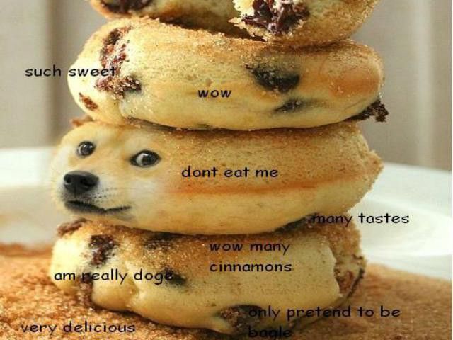 Donut doge meme