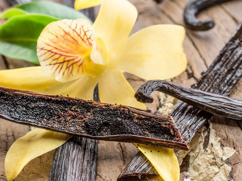 Dried vanilla fruits and orchid