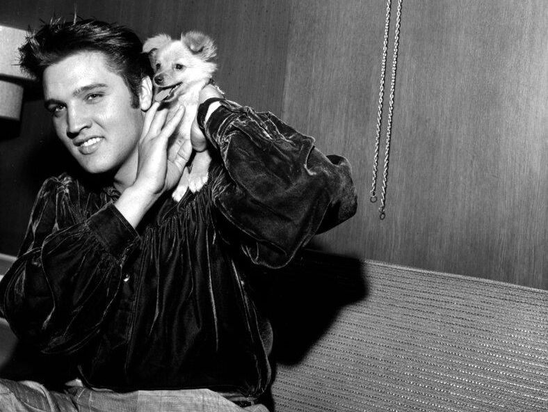 Elvis and dog