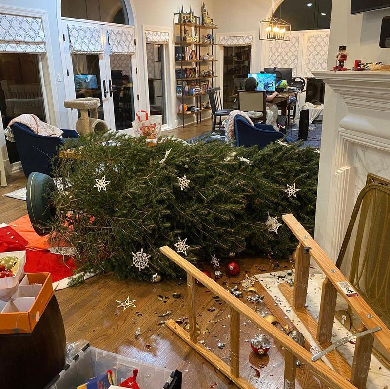 Fallen Christmas tree in a living room