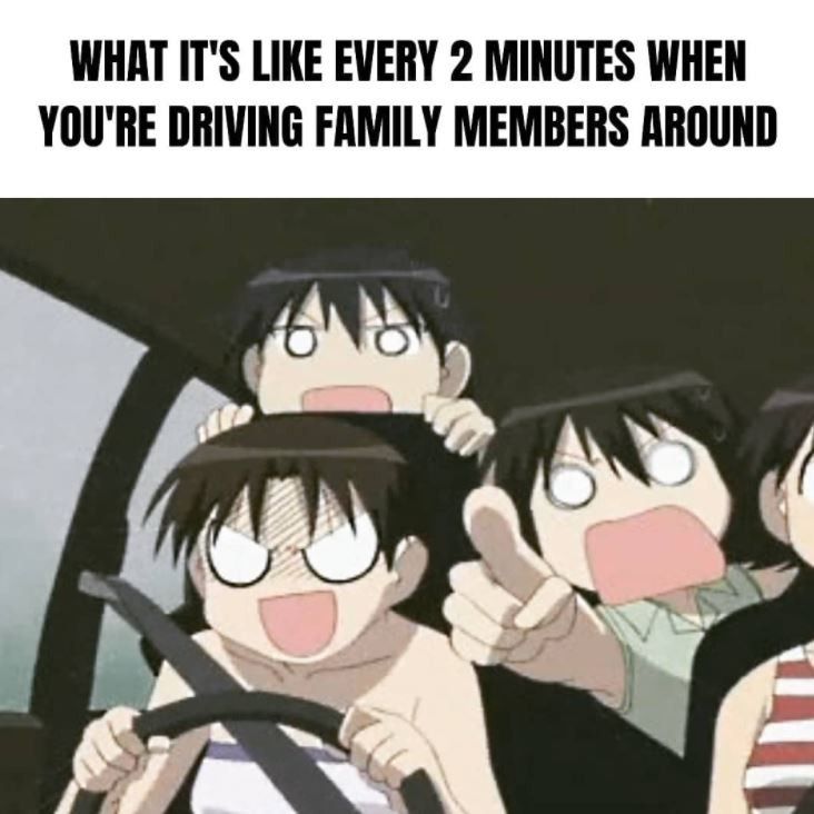 Family road trip meme
