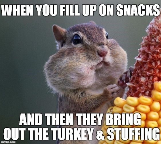 Filling up on snacks Thanksgiving meme