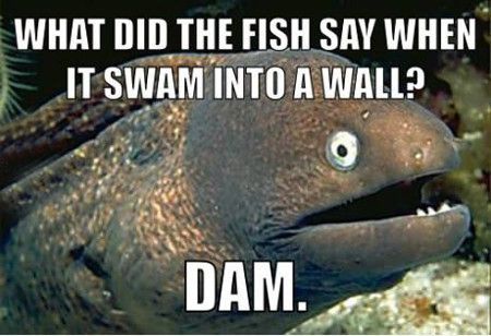 Fish dam meme