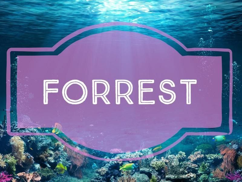 Forrest nature-inspired baby name
