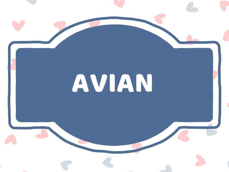 French baby name: Avian