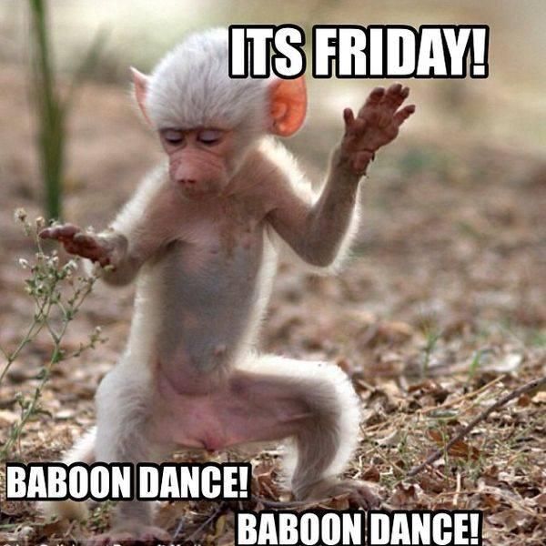 Friday baboon dance meme