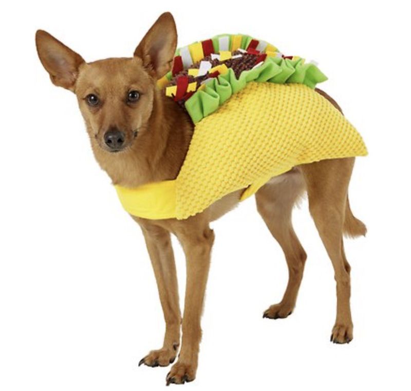 Frisco dog taco costume