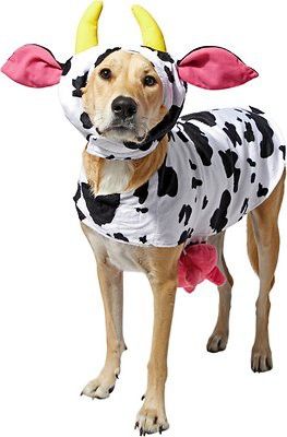 Frisco happy cow dog costume