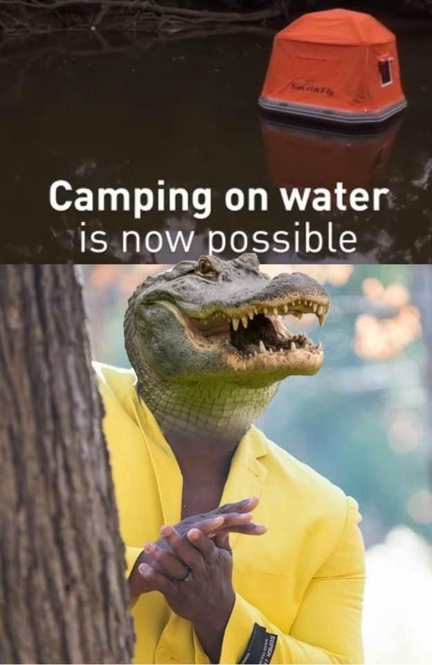 Funny aligator camping meme
